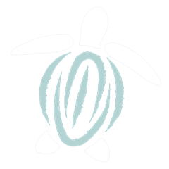 Barefoot Beach Club turtle emblem